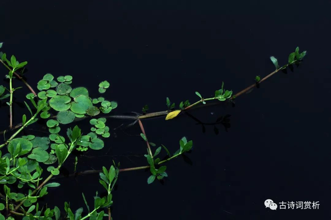 5EB437D0907C049E59300770B9AA62DEEB1F1E9F_size56_w1080_h720.jpeg