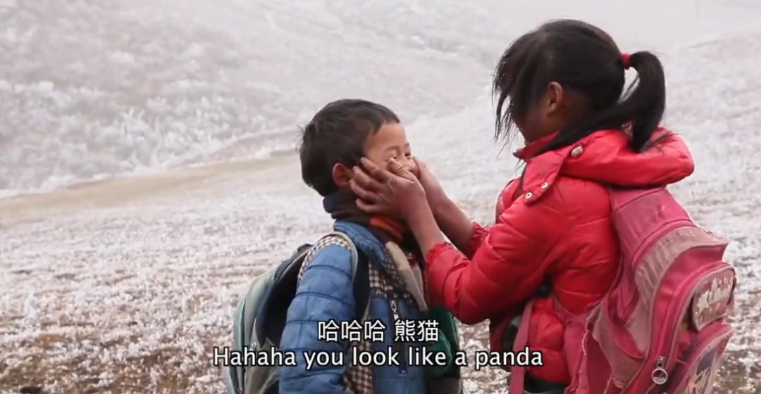 这部纪录片又把人看哭了