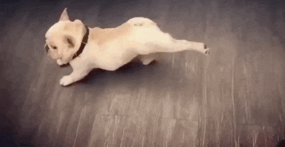 搞笑gif:哥哥在思考人生别来打扰我