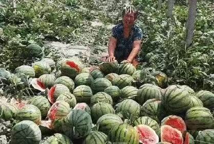 每日神段子丨我也想过慢生活，可惜我挣钱不够快