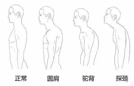 10分钟让你改善冬笋,拥有气质姿态塌菜女神图片