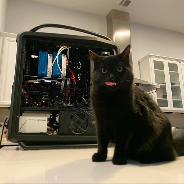 疑似英伟达RTX TITAN显卡谍照曝光
