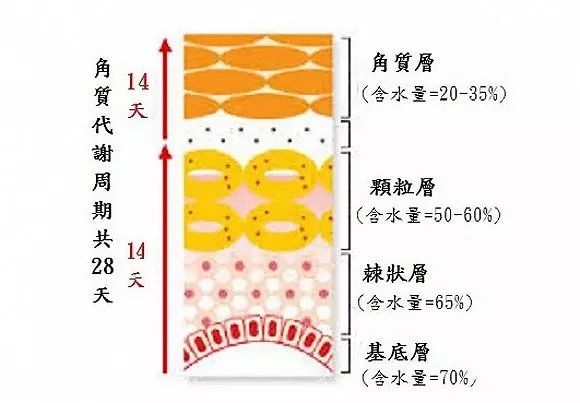 粉红女郎翻拍王鸥演万人迷？可她都胖出慈祥脸了