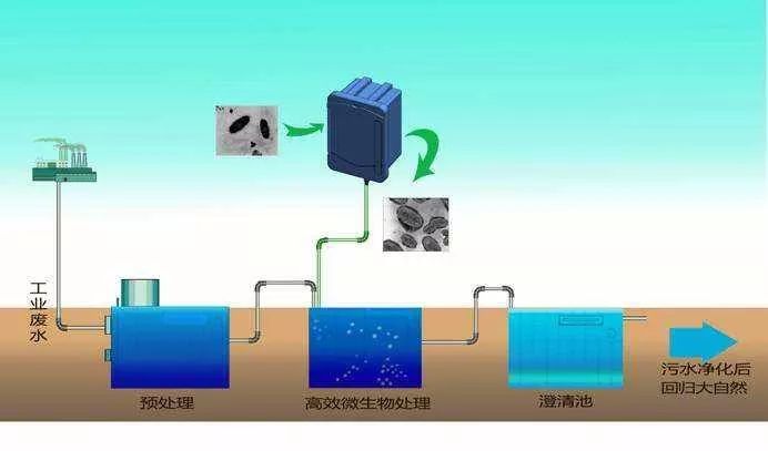 124岁天文望远镜“重生”；工业废水重金属可实时在线监测丨科技早新闻