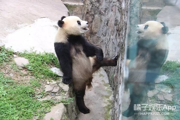 2018年最沙雕的搞笑瞬间都在这里了....