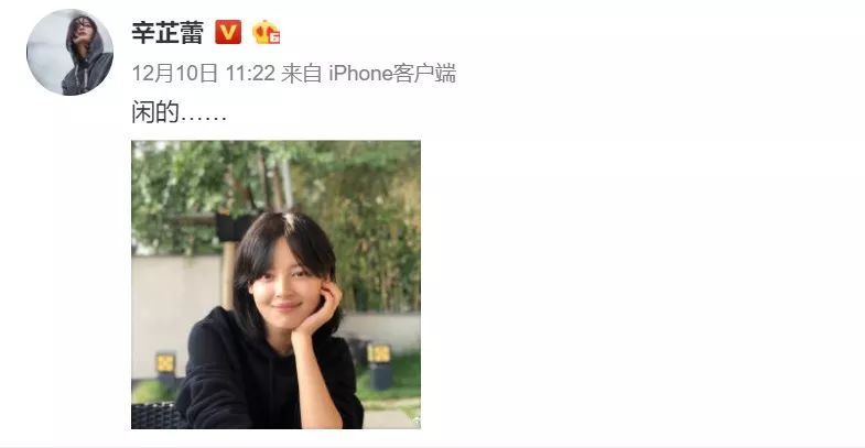 神颜崔雪莉胖成妇女,但辛芷蕾为什么越胖越好看?