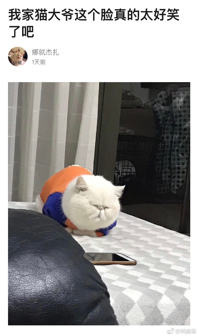 每日神段子丨带狗散步叫遛狗,那带小孩散步呢?