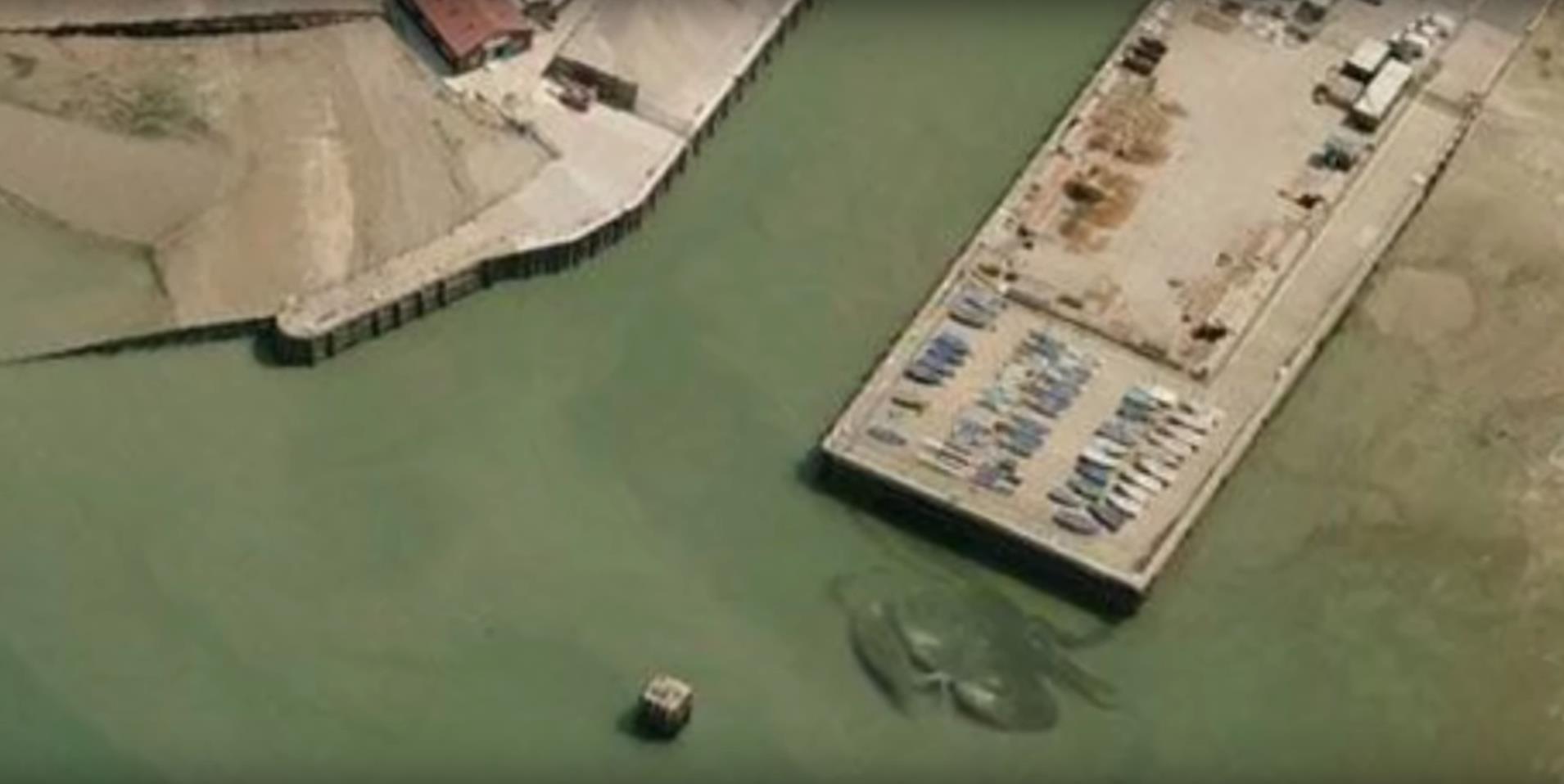 谷歌地球上的神秘未知生物，你从未见过的超巨大生物合集__凤凰网