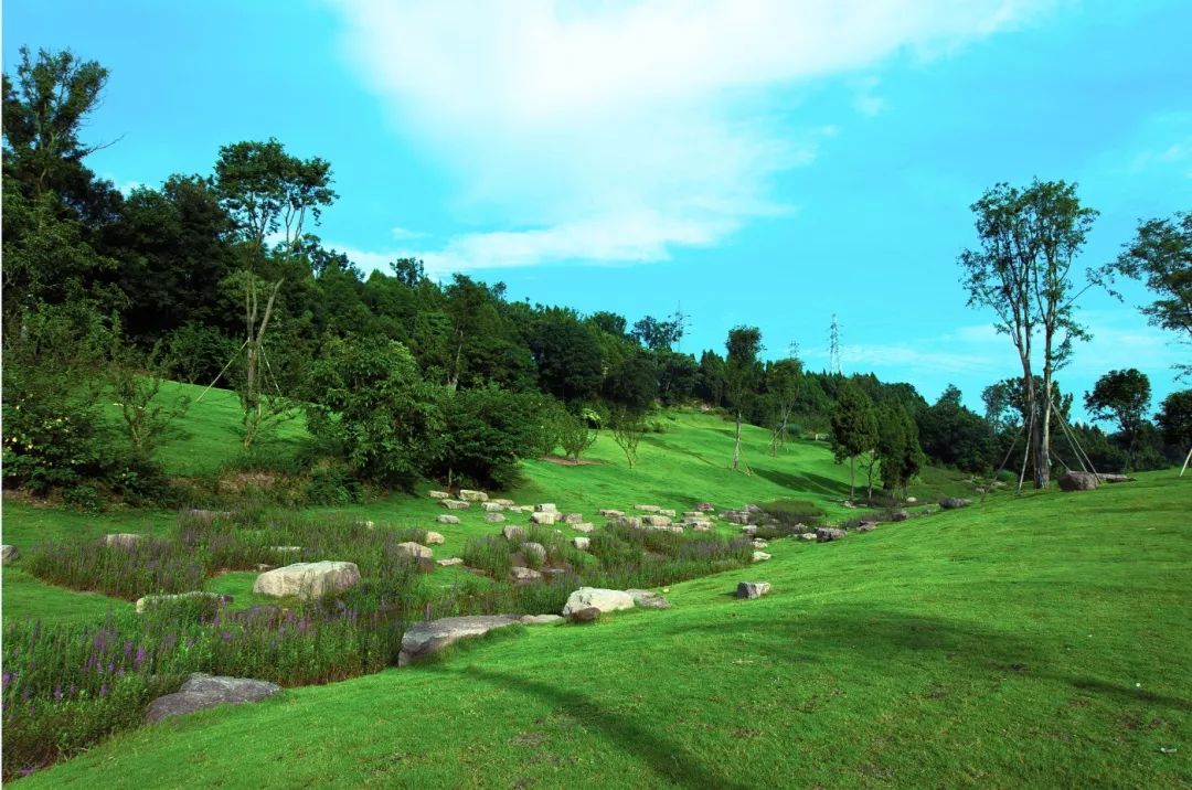 哎呀，说得我都想回简阳去吃了