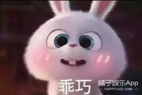 饭圈四六级考试来了，这次你能过吗？