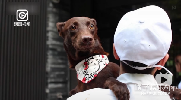 被他和流浪猫狗的故事感动了...