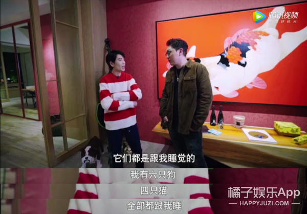 被他和流浪猫狗的故事感动了...