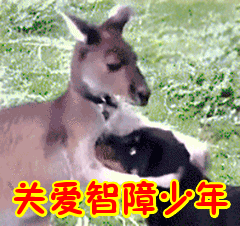 辛辛学子大幂幂,徐徐生辉李易峰