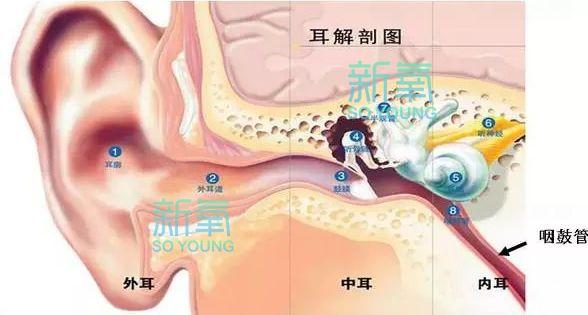 热巴最新直播自爆从小到大最自卑的颜值bug！竟然不是鼻子…