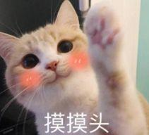 热巴最新直播自爆从小到大最自卑的颜值bug！竟然不是鼻子…