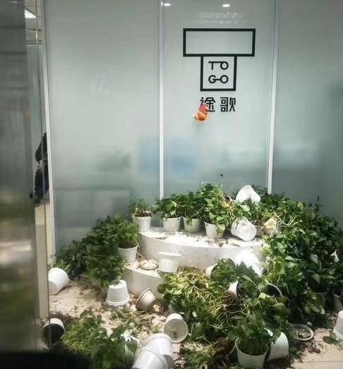 共享汽车途歌危机一周：用户排队退45亿押金，老板遭7人围堵