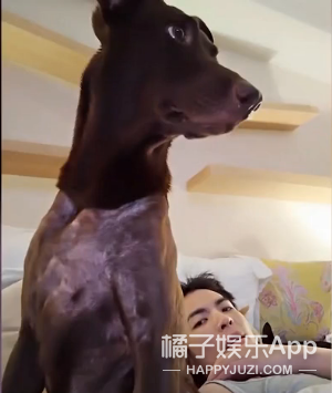 被他和流浪猫狗的故事感动了...