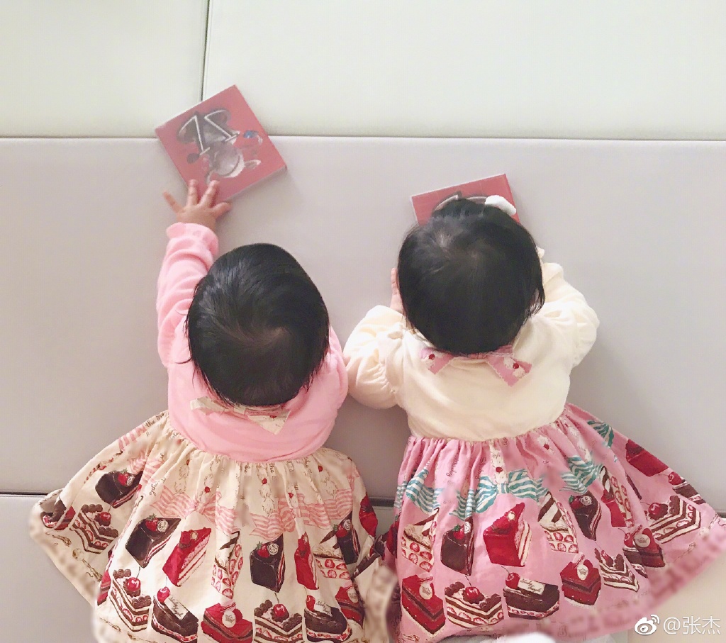 谢娜双胞胎穿的裙子价格曝光，网友:和李湘女儿比还是有差距