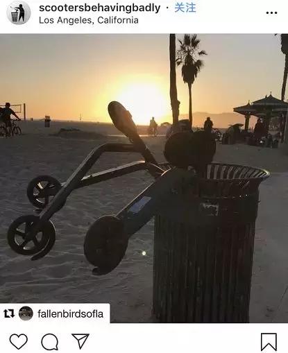 挂在电线杆上的共享单车，成了最疯狂的行为艺术