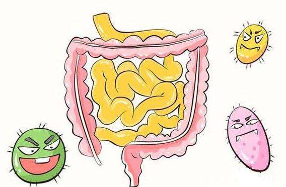 一字之差:胃肠宁、肠胃宁、肠炎宁、胃炎宁之间有哪些区别?