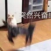曾经靠素颜就征服大众比肩刘亦菲的她，现在却被嘲一无是处