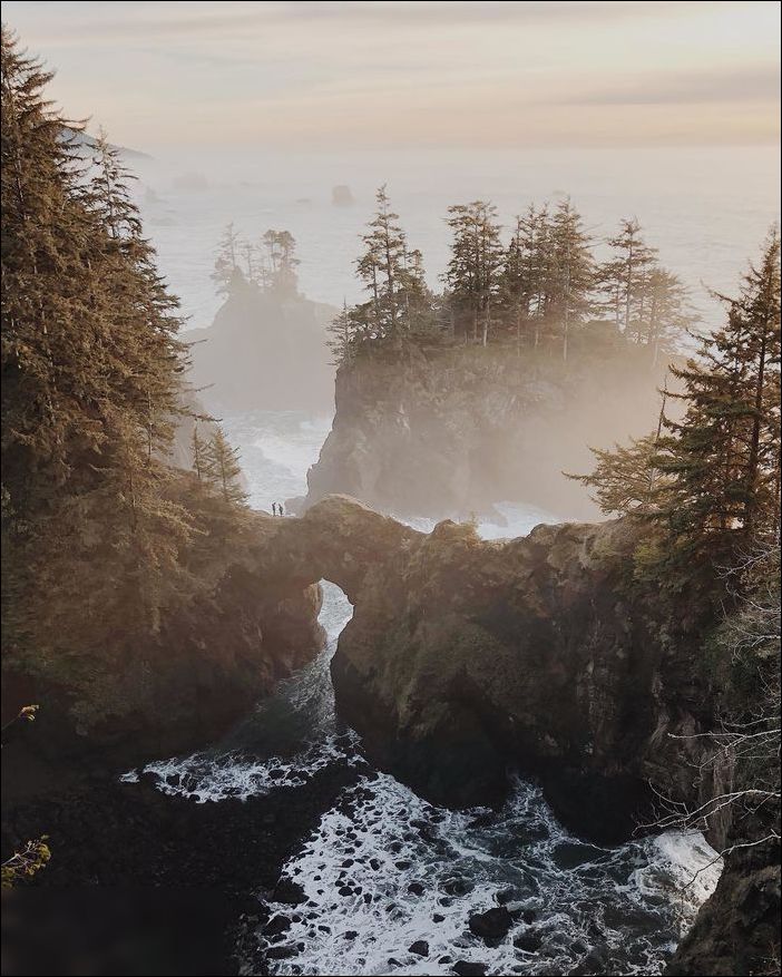 苹果官方Instagram评出2018年 9 张最受喜爱的照片