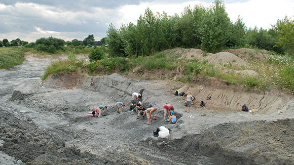 科学家在波兰发现大象般大小的原始哺乳动物