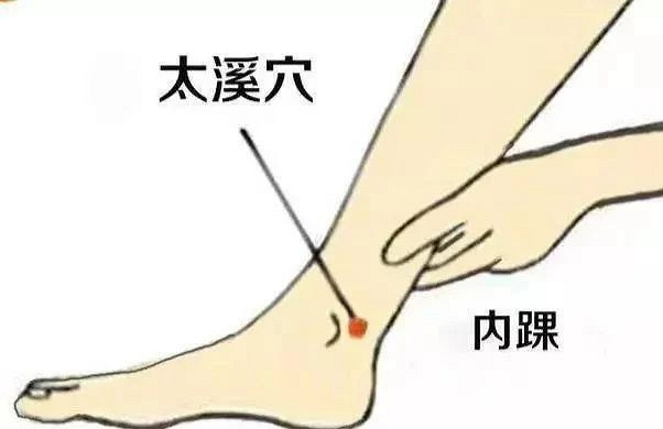 太溪穴被成为"人体第一大补穴",可补益肝肾气血,肝主筋,肾主骨,故