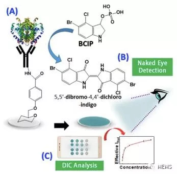 潮科技 | 研究人员研发一次性生物传感装置，可用于裸眼检测牛奶中巴氏灭菌指标