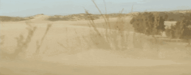 年度流行词换了一茬又一茬，你却还在吃陈米？沙米限时折扣，拼手速啦｜互动话题