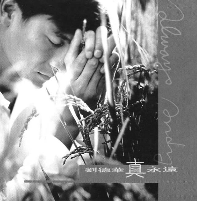 1978~2017年40届“香港十大中文金曲奖”获奖名单 必收藏