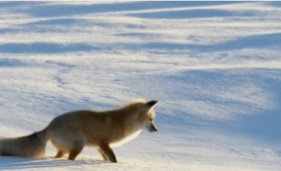 源自太空科技的干燥被，空少亲测除湿抗螨效果好，每晚都只想睡它 | 大咖荐品