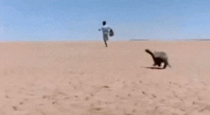 马云这个平头哥太狠了