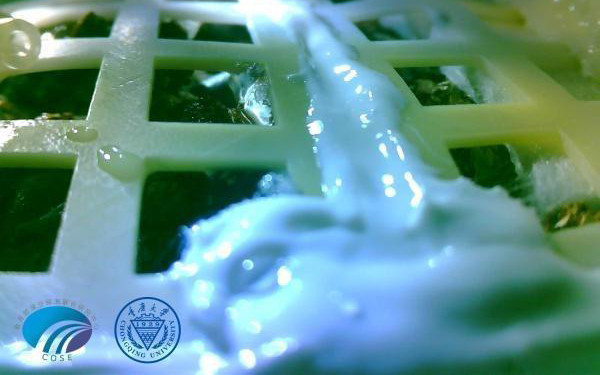 月面第一株嫩芽！嫦娥四号完成人类首次月面生物实验