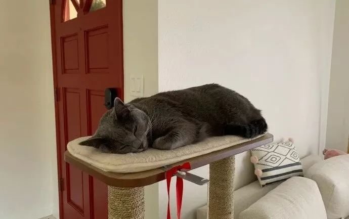Ƽ軪Ʒơ嵶ѣױôˣ