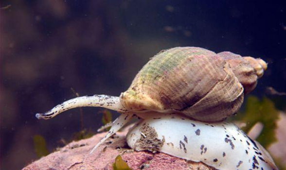 50ea03e970b94c30b52408736efbb9ec.jpg 50ea03e970b94c30b52408736efbb9ec.jpg