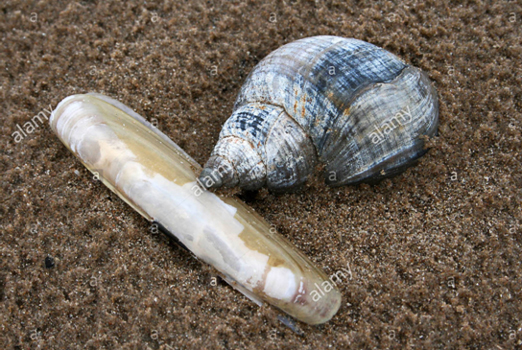 648bea3be29545a1954a5ddbe6645d51.jpg 648bea3be29545a1954a5ddbe6645d51.jpg