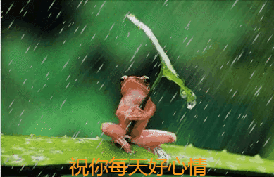 2019最新早上好图片动态表情包，2019最美早晨好动态表情图片