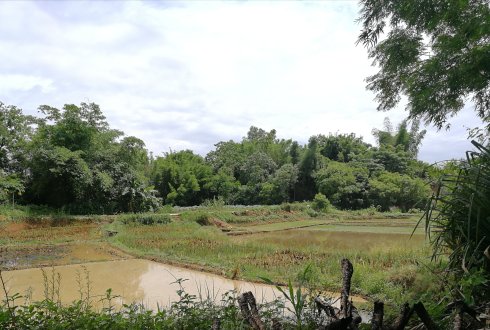 罗定市上宁村格木桥村梁氏始祖及发源地