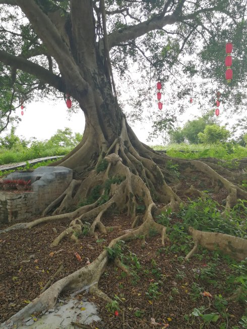 罗定市上宁村格木桥村梁氏始祖及发源地