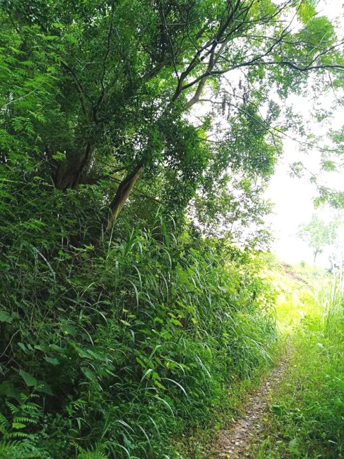 罗定市上宁村格木桥村梁氏始祖及发源地