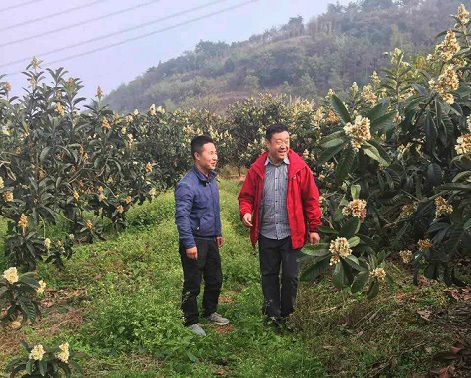 咳嗽吃什么蜂蜜比较好