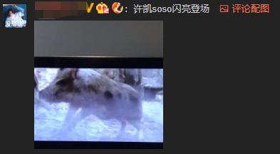 《招摇》颜值当道,最帅的不是许凯,网友都想嫁以一打十的她?