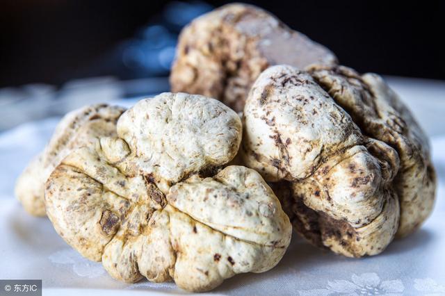 世界三大珍肴之一(松露)