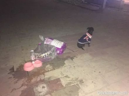 今年回家，我不再是一个人了！