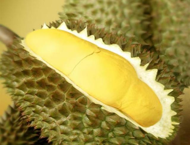 欧美评的8种恶心食物,有一种在中国是八珍之一,营养还没鸡蛋高