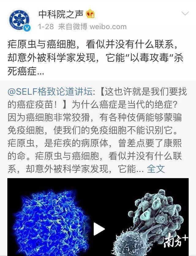 “疟原虫治癌”是科研还是闹剧？记者实地走访，真相在这里