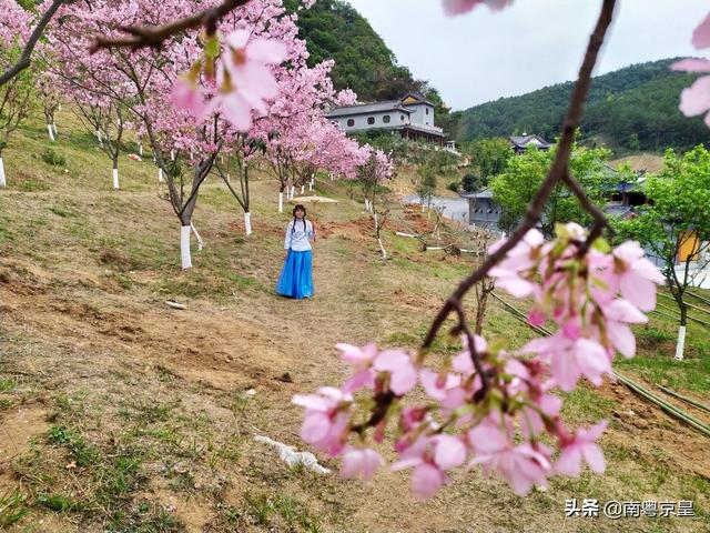 "水墨桃花乡约翁源"2019广东翁源桃花节,"妖"您来"撩"