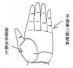 女人面相算命图解(一)