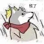 看完张嘉倪新的安利视频，成功种草她的豪门老公